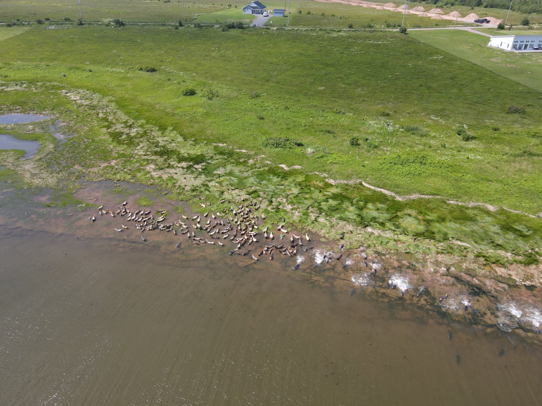 Aerial view of coastal lots and Northumberland Strait shoreline at Toney Bay, Nova Scotia